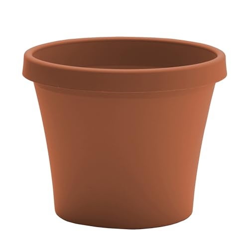 Bloem Terra 6" Diameter Round Terra Cotta Resin Planter Pot with Drainage Holes for Indoor and Outdoor Gardening - Image 1