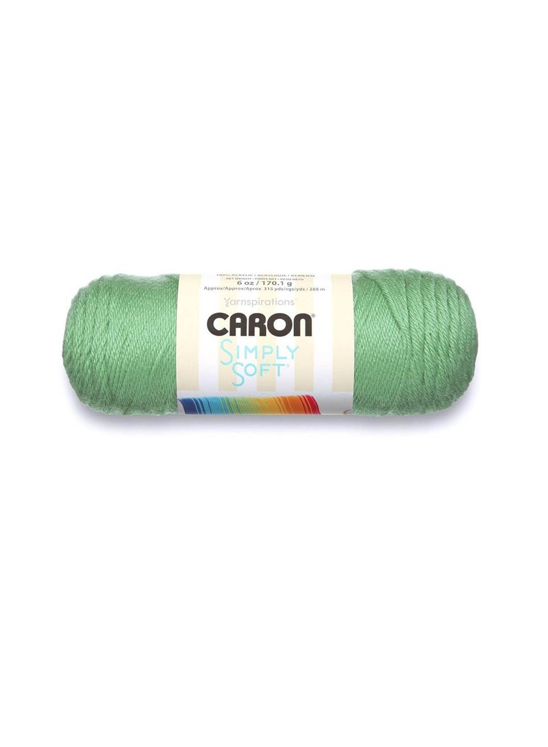 Caron Simply Soft Solids Yarn Green - Image 1