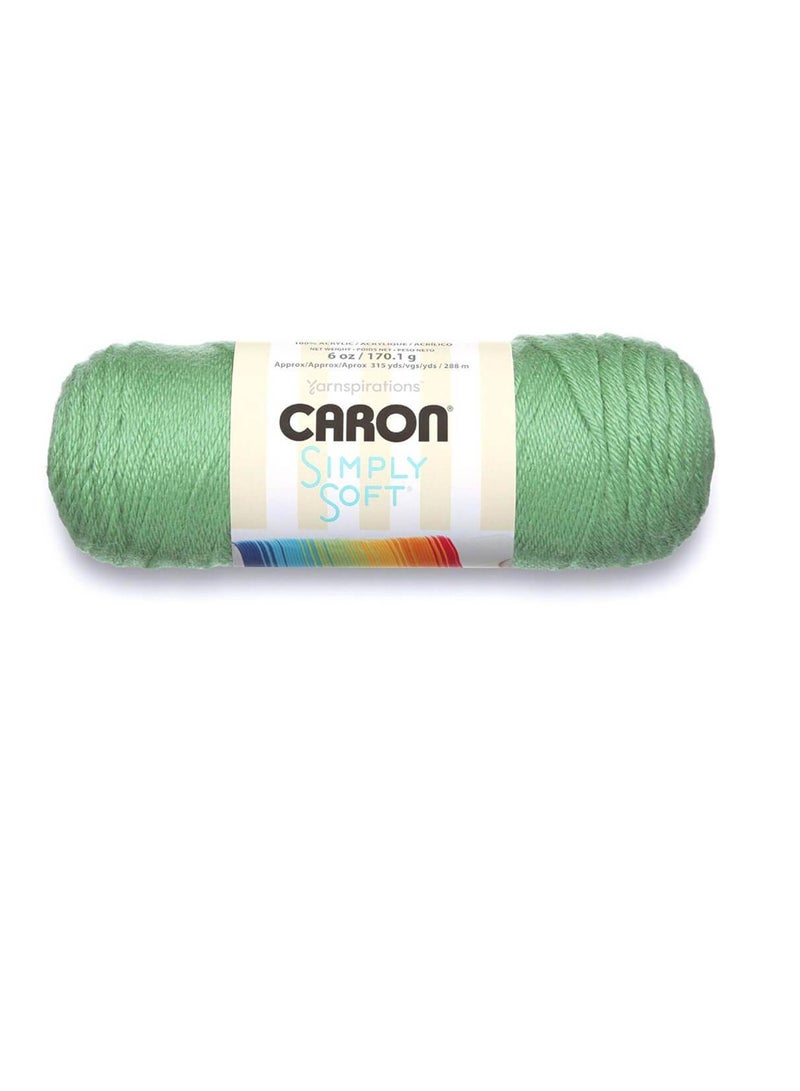 Caron Simply Soft Solids Yarn Green - Image 2
