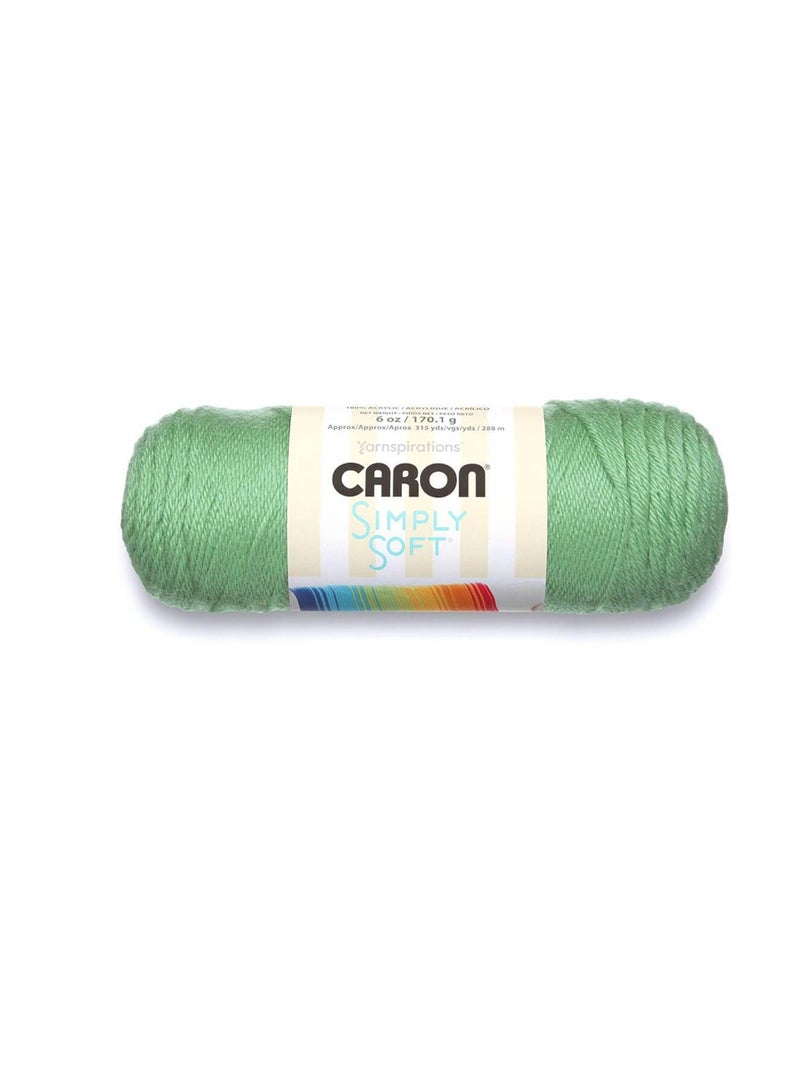 Caron Simply Soft Solids Yarn Green - Image 3