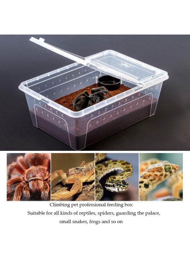 هامليدي صندوق تغذية الزواحف قطعتين، قفص موطن السحلية والعناكب، حاوية تفقيس، صندوق تربية الثعابين، بيوت بلاستيكية صغيرة شفافة محمولة للحيوانات الأليفة للعقرب والعنكبوت والضفدع - Image 4