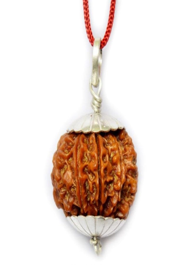 Certified Gems 9 Mukhi Rudraksha Original Certified with Pendant 9 Face Rudraksha Original Nine Mukhi oddess 9 Durga Maa 9 मुखी रुद्राक्ष नेपाली ओरिजनल 9 Mukhi Nepali Rudraksha by Certified Gems - Image 1
