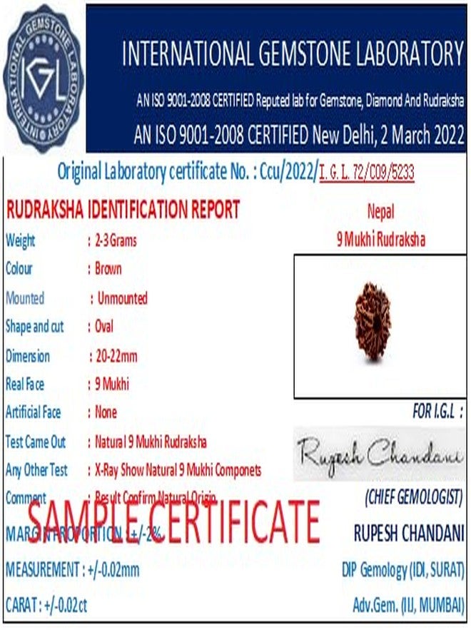 Certified Gems 9 Mukhi Rudraksha Original Certified with Pendant 9 Face Rudraksha Original Nine Mukhi oddess 9 Durga Maa 9 मुखी रुद्राक्ष नेपाली ओरिजनल 9 Mukhi Nepali Rudraksha by Certified Gems - Image 4