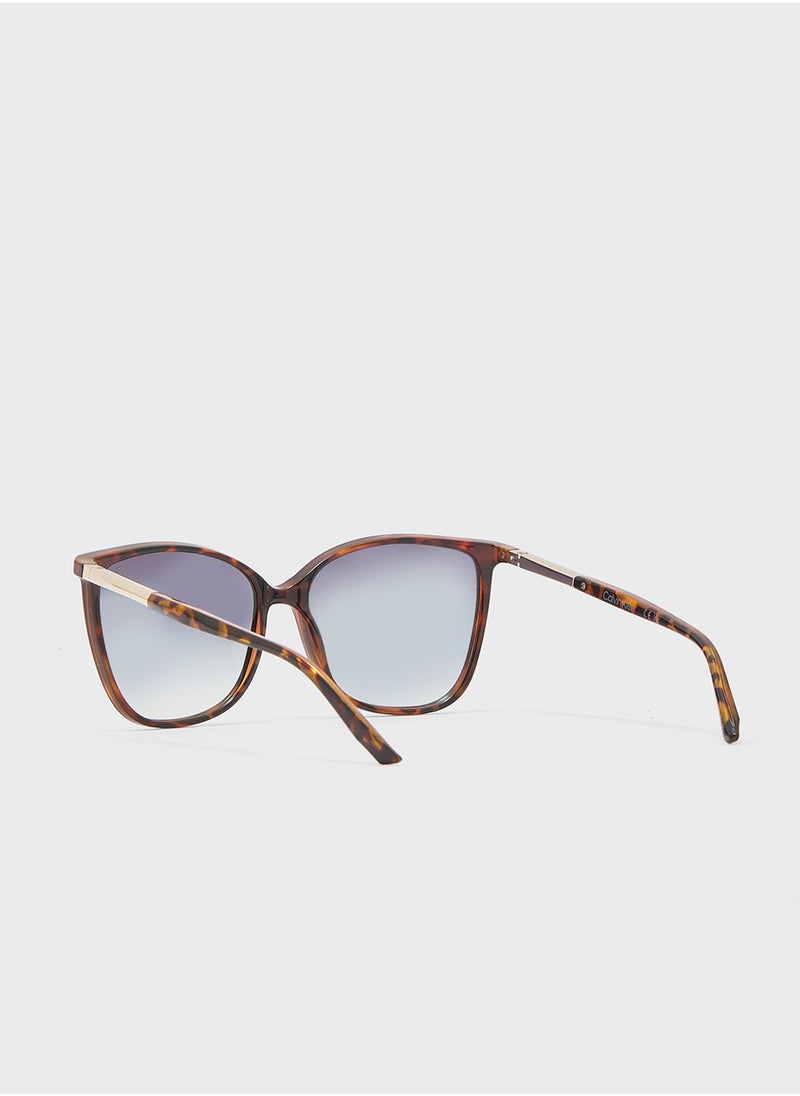 CALVIN KLEIN Butterfly Sunglasses  - Image 3