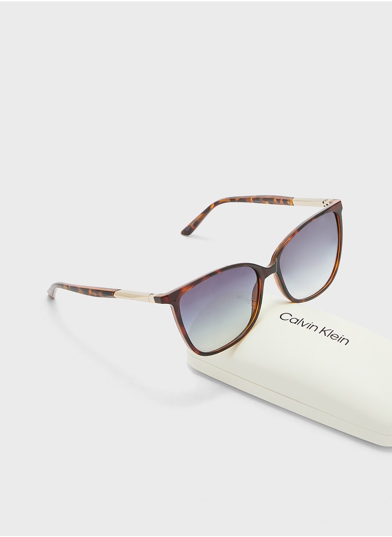 CALVIN KLEIN Butterfly Sunglasses  - Image 5