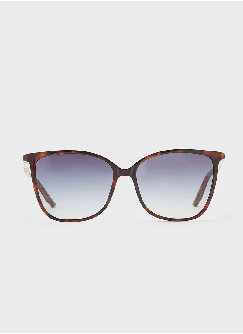 كالفن كلاين Butterfly Sunglasses