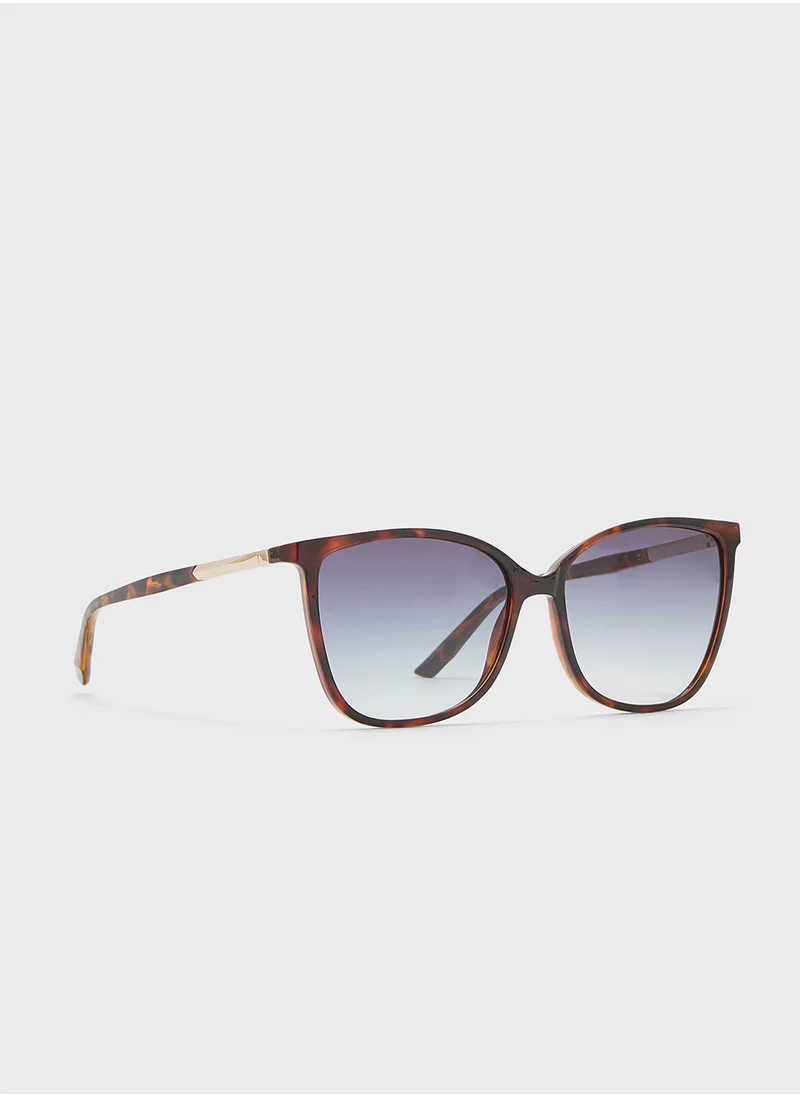 كالفن كلاين Butterfly Sunglasses