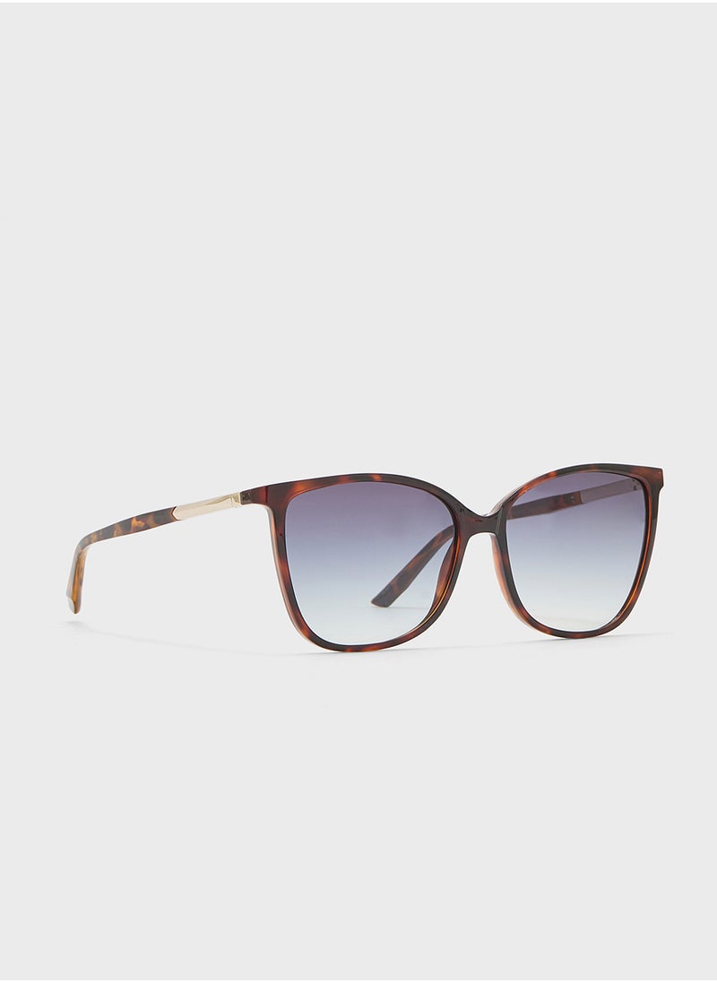 CALVIN KLEIN Butterfly Sunglasses  - Image 1