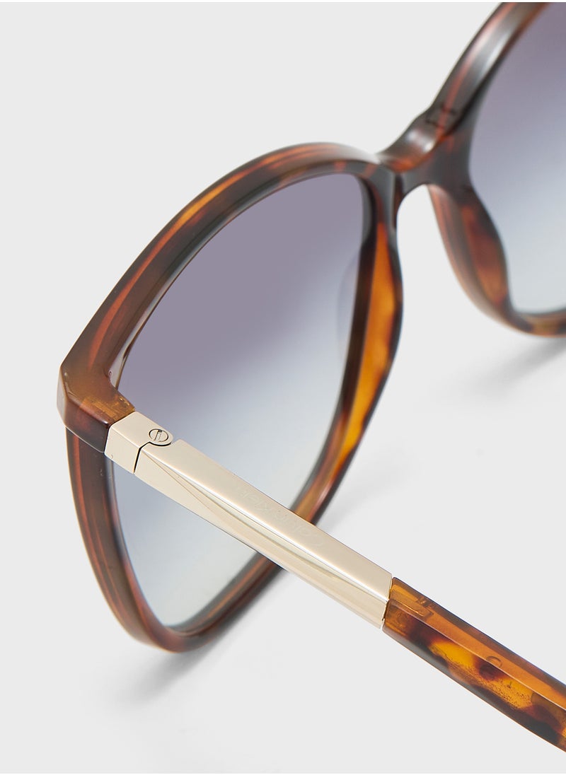 CALVIN KLEIN Butterfly Sunglasses  - Image 4