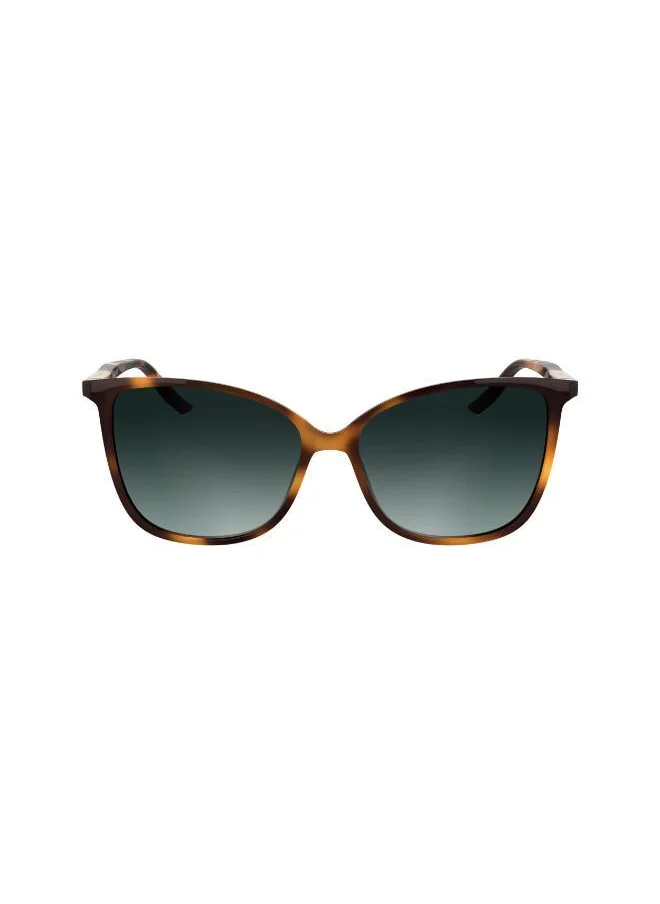 كالفن كلاين Butterfly Sunglasses