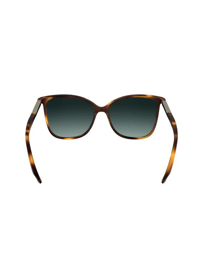 كالفن كلاين Butterfly Sunglasses