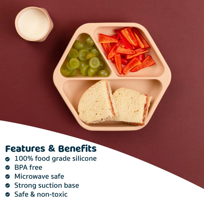 Tiny Twinkle Silicone Suction Baby Plate, Suction Grip Divided Dish for First Foods and Self-Feeding Toddlers, Baby Led Weaning Supplies for Independent Eating (Sand Plate with Lid) - Image 5