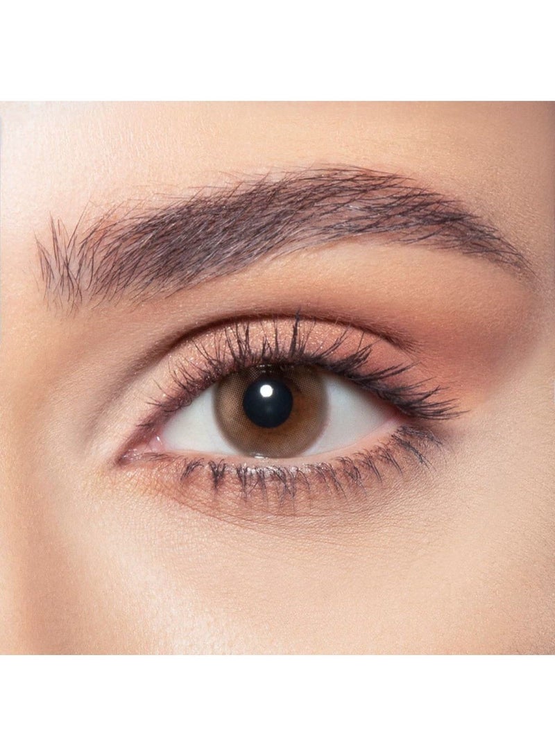 Bella One Day Venus Pack Of 10 Daily Disposable Contact Lenses, Colored Contact Lenses, Cosmetic contact lenses, Brown Contact Lenses - Image 1