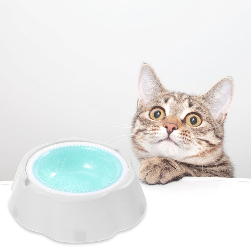 🐾 وعاء صيفي للحيوانات الأليفة يحافظ على برودة الطعام والماء بتصميم قاعدة مستقرة - Image 2