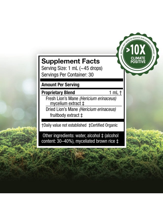 Host Defense Lion Mane Extract Promotes Mental Clarity Focus And Memory Mushroom Supplement Plain 1 Fl Oz - Image 4
