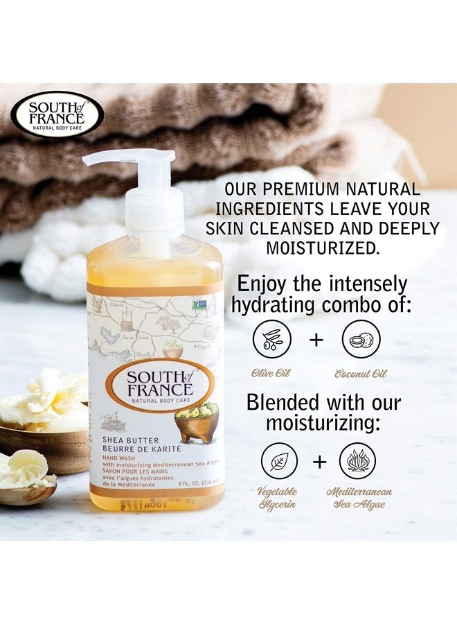 South of France Natural Body Care Shea Butter Clean Hand Wash by South of France Clean Body Care | Moisturizing Liquid Hand Soap with Mediterranean Sea Algae | 8 oz Pump Bottle – 3 Pack  - Image 4