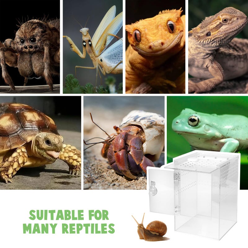 smartang Tall Arboreal Tarantula Enclosureã€ðð¨ ð€ð¬ð¬ðžð¦ð›ð¥ð² ð‘ðžðªð®ð¢ð«ðžðã€‘, Jumping Spider Enclosure, Front Above Opening, Cross Ventilation, Acrylic Arboreal Reptile Enclosure,Praying Mantis Enclosure - Image 5