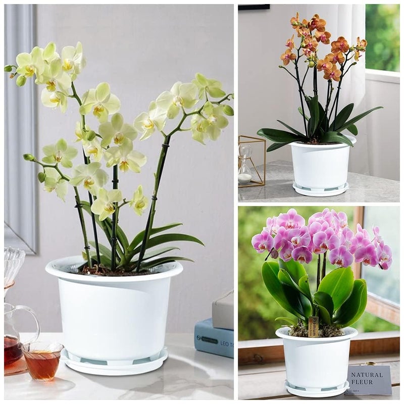 Meshpot 8 Inch Orchid Pots with Holes and Saucers,Double Layer Plastic Large Orchid Planter Pot,Flower Pots for Indoor Outdoor Flower Plants,Orchids,Herbs,Snake Plants and Succulents - Image 4