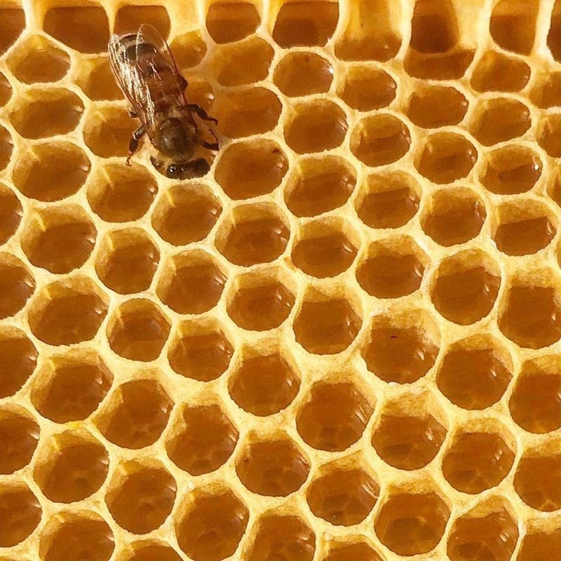 Stakich Yellow Beeswax Block - Natural, Triple Filtered - 2 Pound - Image 4