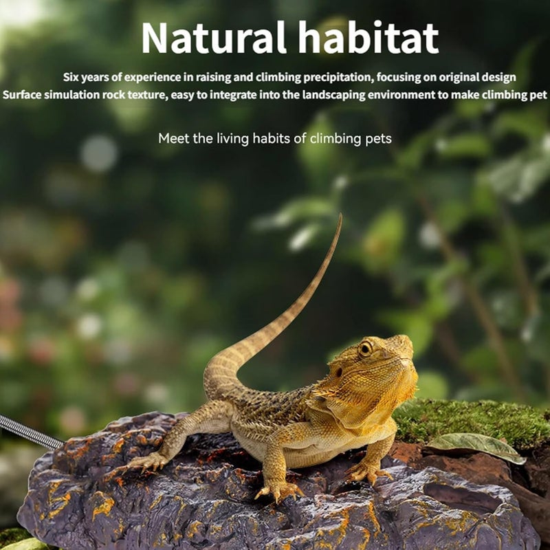 Natural Simulation Platform for Birds Incorporating Heating Function and Rock Like Texture Slip Platform - Image 5