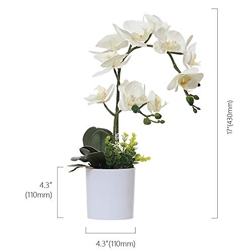 Omygarden White Orchid Artificial Flowers in Pot, Fake Plastic Orchid Flowers, Decoration for Home Office Wedding(White 2 Bouquets) - Image 2