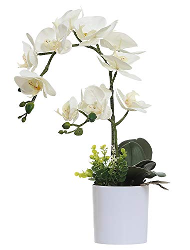 Omygarden White Orchid Artificial Flowers in Pot, Fake Plastic Orchid Flowers, Decoration for Home Office Wedding(White 2 Bouquets) - Image 1