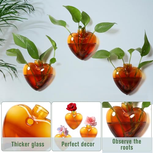 CYZglass Wall Hanging Planter Propagation Station for Indoor Plants Glass Vase Air Plant Holder Gift for Women Girlfriend Plant Lover - Image 3