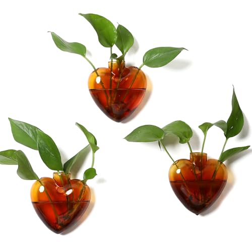 CYZglass Wall Hanging Planter Propagation Station for Indoor Plants Glass Vase Air Plant Holder Gift for Women Girlfriend Plant Lover - Image 1
