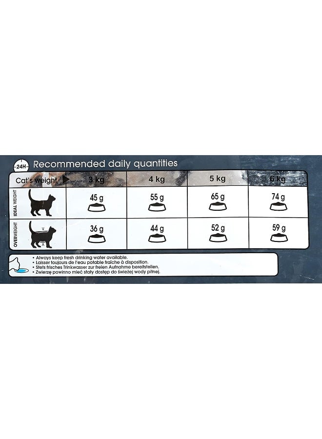 ROYAL CANIN Hairball Care Adult Dry Cat Food 10Kg - Image 2