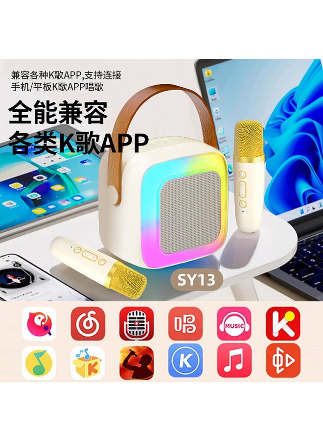 Neutral Wireless Portable Karaoke Speaker Microphone Outdoor Singing Bluetooth Speaker Household Small Family Ktv - Image 3