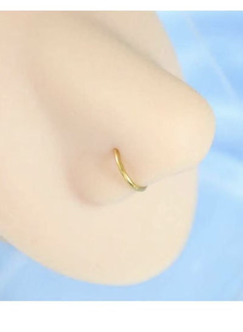 2PCS Women Fake Nose Piercing Circle Nose Piercing Fashion D-Shape Attractive No Piercing Nose Clip Stainless Steel Septum Piercing Body Jewelry - Image 3