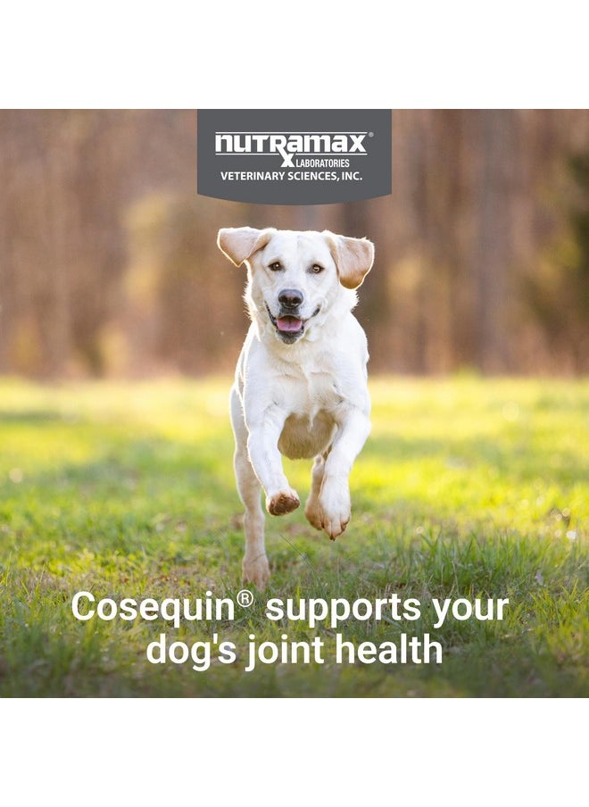 Nutramax Laboratories - Nutramax Cosequin Joint Health Supplement for Dogs - With Glucosamine, Chondroitin, MSM, and Omega-3's, 60 Soft Chews - Image 1