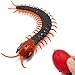 Tipmant Realistic Large Size RC Centipede Scolopendra Animal Toy Infrared Remote Control Vehicle Car Scary Prank Kids Birthday Gifts Dark Green - Image 2