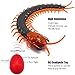 Tipmant Realistic Large Size RC Centipede Scolopendra Animal Toy Infrared Remote Control Vehicle Car Scary Prank Kids Birthday Gifts Dark Green - Image 4
