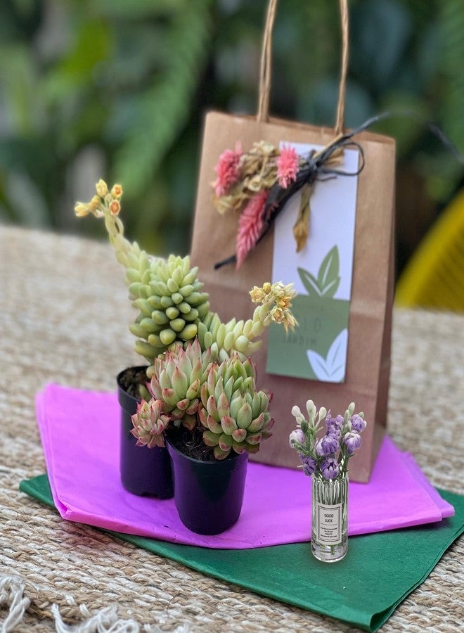 CoCud Mini Flowers Dollhouse in Vase, 2.76" Length, Silk Plastic Miniature Dollhouse Accessories with Tiny Jasmine Light Purple - (Applications: for Fairy Micro House Ornament) 1-Pieces - Image 5