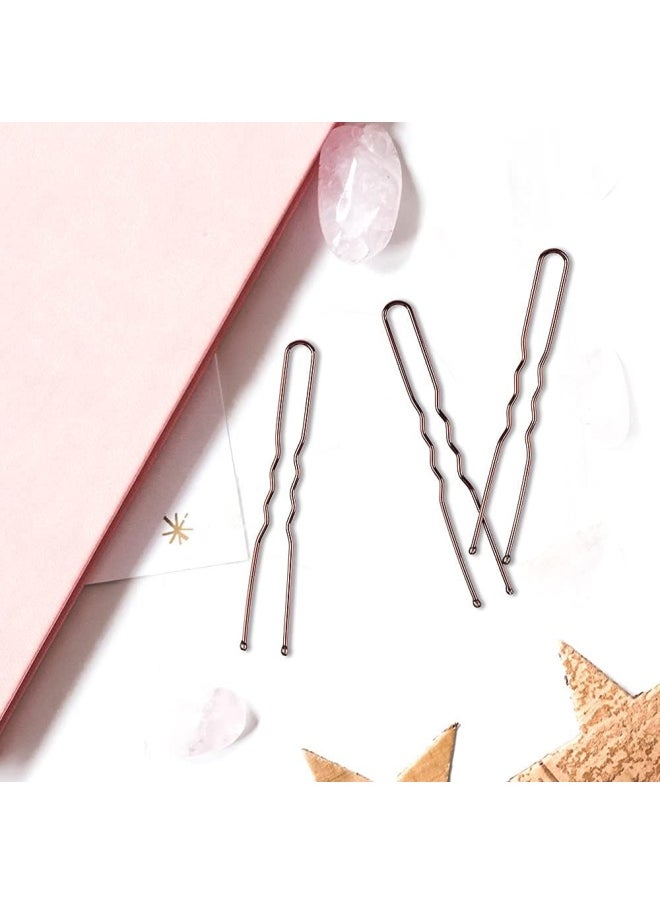 Premify - U Shaped Brown Hair Pins, Pack Of 120 Bobby Pins Bun Hair Pins, Hair Grips, Hair Pin For Women, Wedding Bridal Brown Hairpins In Plastic Box - Image 1