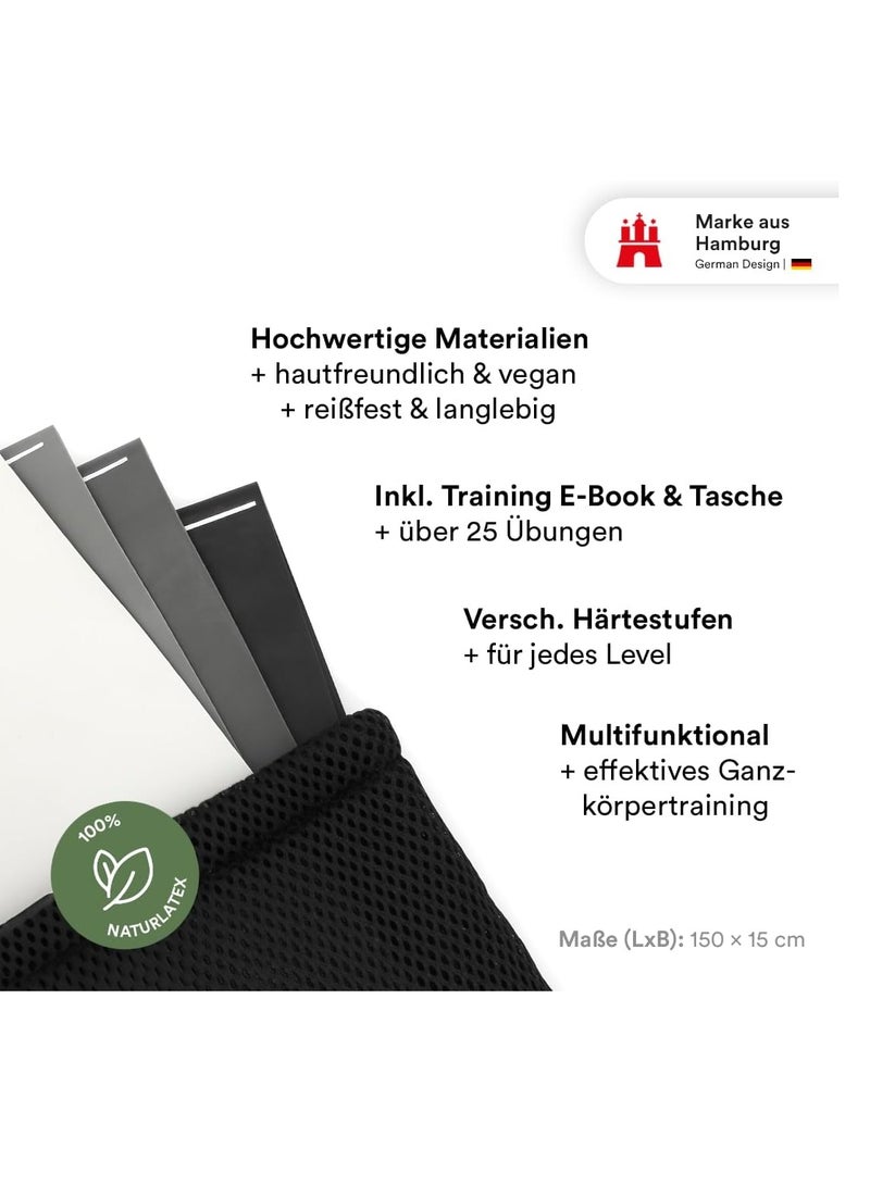 STRYVE Fitness Loops / Resistance Bands Set of 4 with Instructions, eBook in German and Bag - 4 x Fitness Band Resistance Band Exercise Band - Image 2