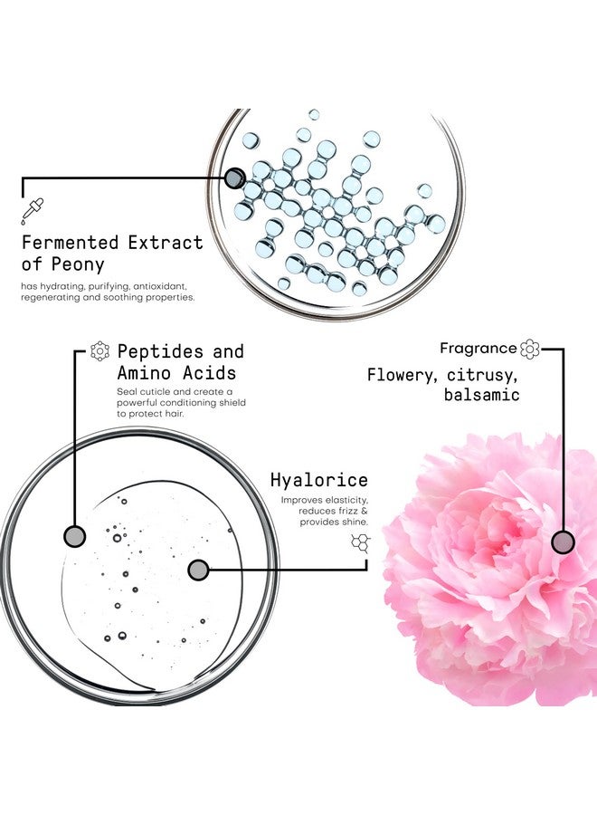فراميسي مجموعة شامبو وبلسم Morphosis Ultimate Care، 8.4 أونصة سائلة، مجموعة شامبو وبلسم مرطبة ومرطبة - Image 3