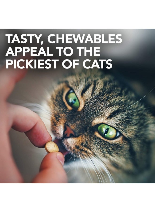 Vet's Best Vet's Best Cat Urinary Tract Support Chewables | Supports A Healthy Urinary Tract in Cats | 60 Chewable Tablets  - Image 5