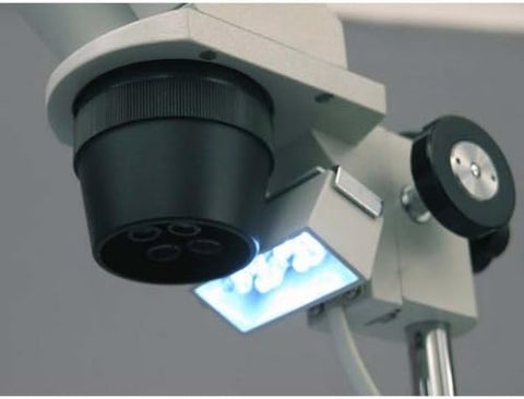 AmScope SE305R-P-LED Stereo Microscope - 10X/30X Magnification, Upper/Lower LED Lights, Pillar Stand