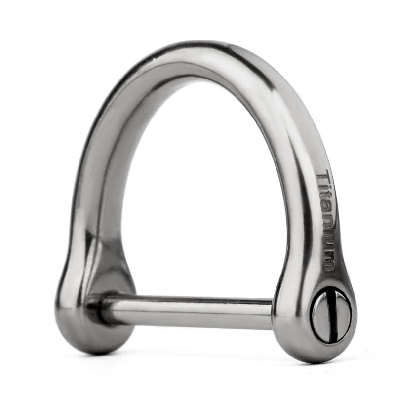 TISUR Titanium D-Rings with Screw Shackle, D Shape Key Chains Rings, Small Dogs&Cats Leash Ring for Collars Making, Car Keys Tools, DIY Leather Craft Purse/Wallet Buckle 1 pcs(XL, Polished) - Image 1