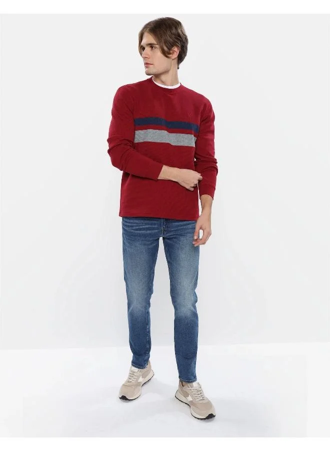 American Eagle Striped Crew Neck T- Shirt