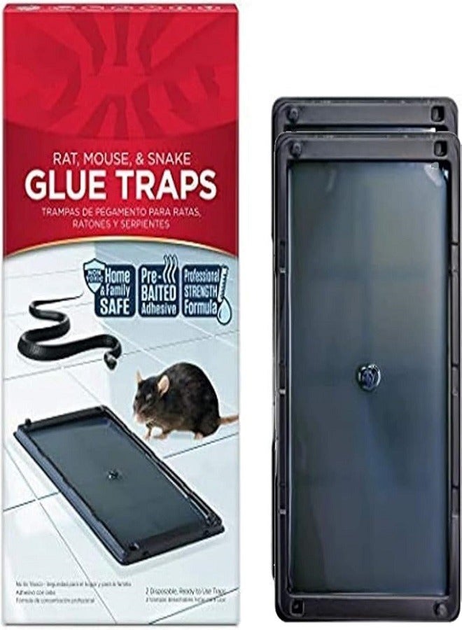 Generic Sticky Mouse Trap, 12 Pack Glue Traps for Snakes and Rats, Large Heavy Duty Sticky Traps with Non-Toxic Glue, Safe and Easy to Use, Indoor Plastic Mouse Trap  - Image 1