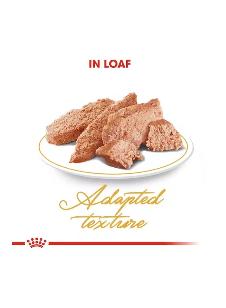 رويال كانين طعام رويال كانين للقطط الفارسية (طعام رطب - أكياس) 12 × 85 جم - Image 3