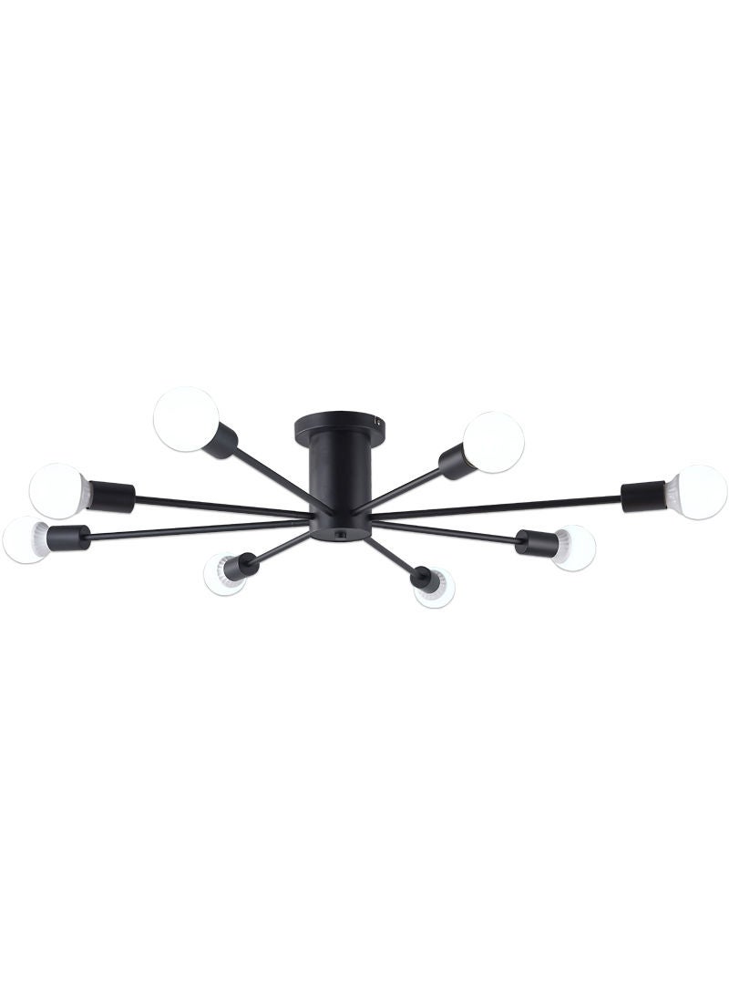 Modern Home Ceiling Lamp Black