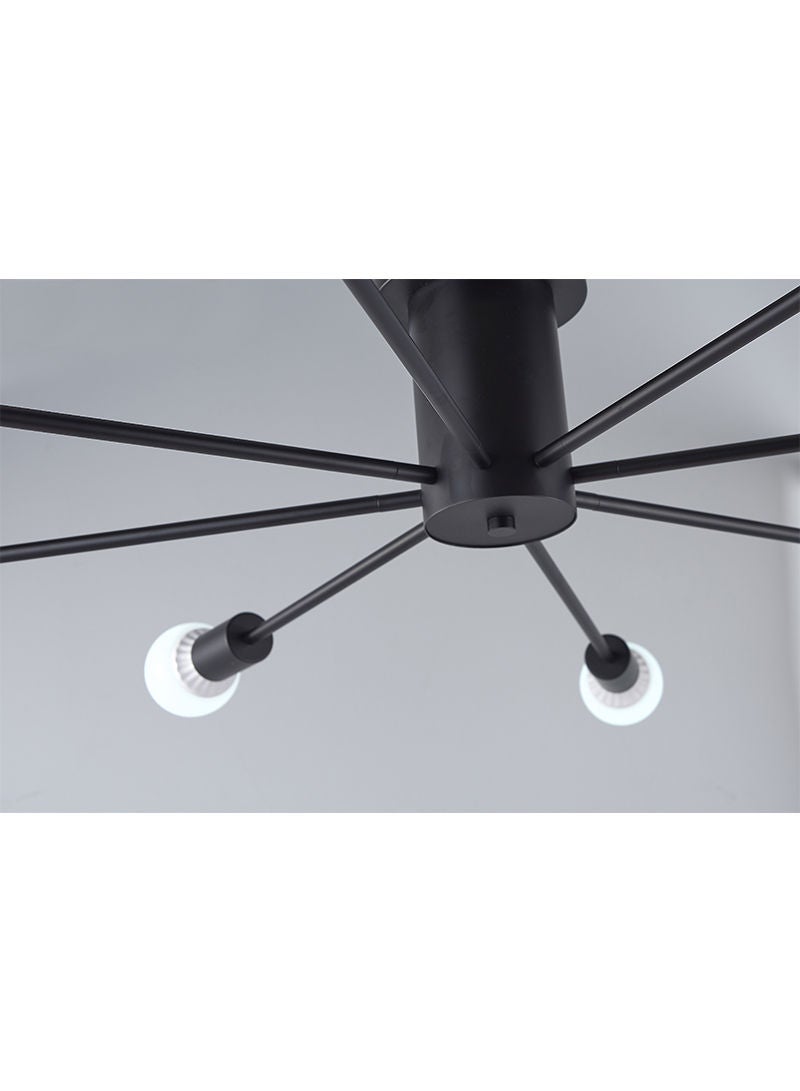 Modern Home Ceiling Lamp Black