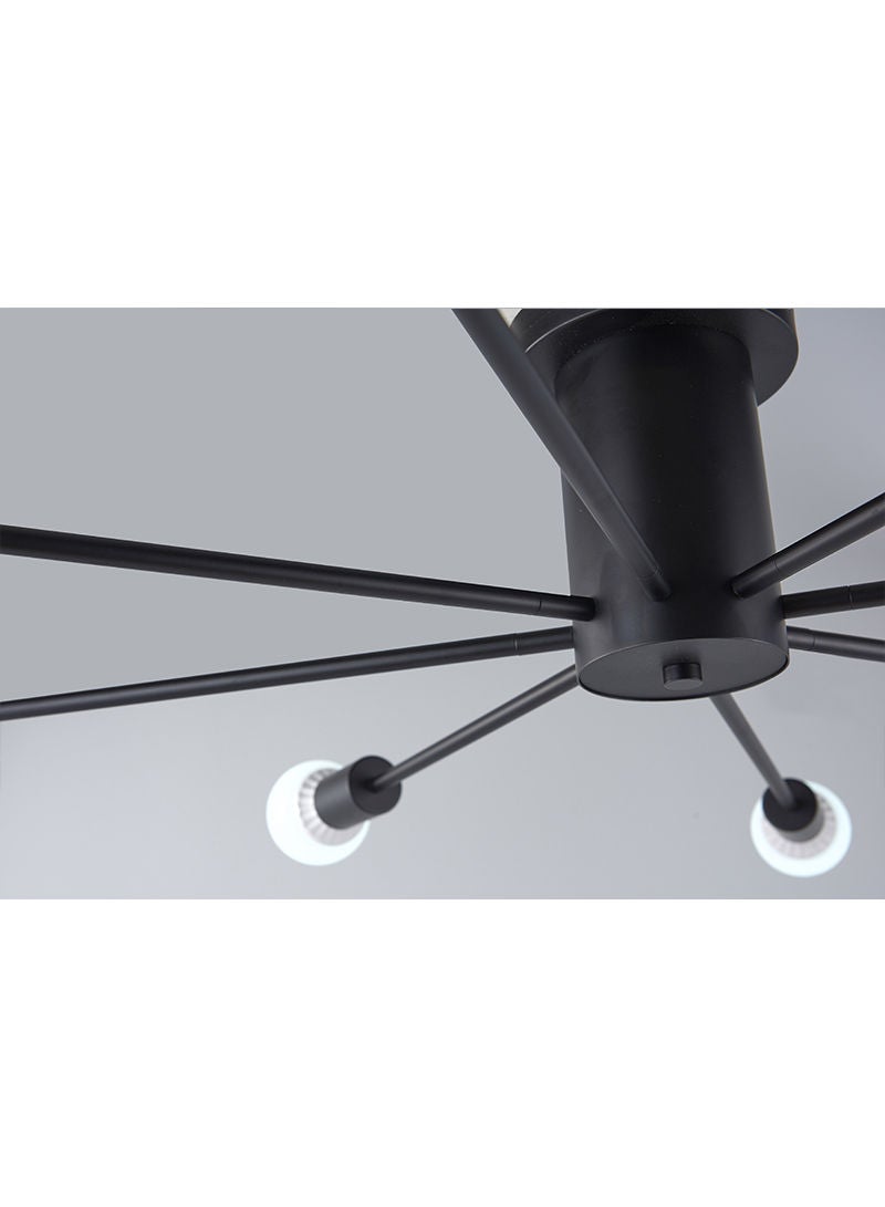 Modern Home Ceiling Lamp Black