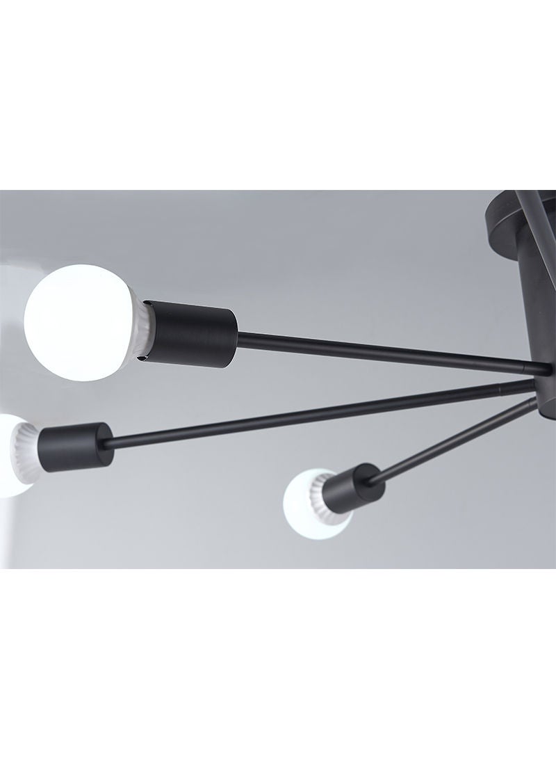 Modern Home Ceiling Lamp Black
