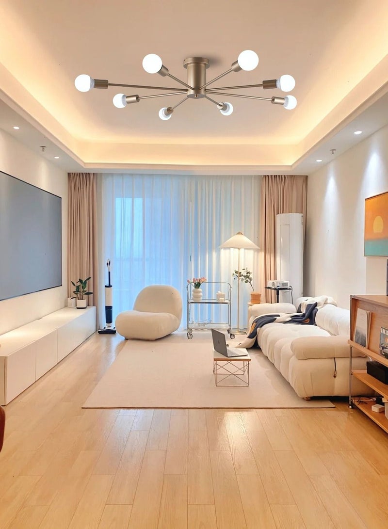 Modern Home Ceiling Lamp Black