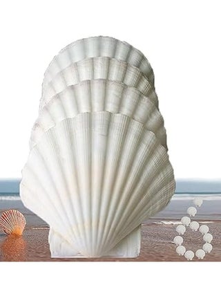 Sea Shells,6 pcs Crafts Decoration Crafting Scallop Shells, for Crafts DIY Painting Beaching Wedding Decoration, Beach Natural Scallop Shells Bulk - pzsku/Z3718CA1784E3B31AC5E9Z/45/_/1737542674/08d3b0fe-d4d4-4247-8c35-066e9fd2e6ff